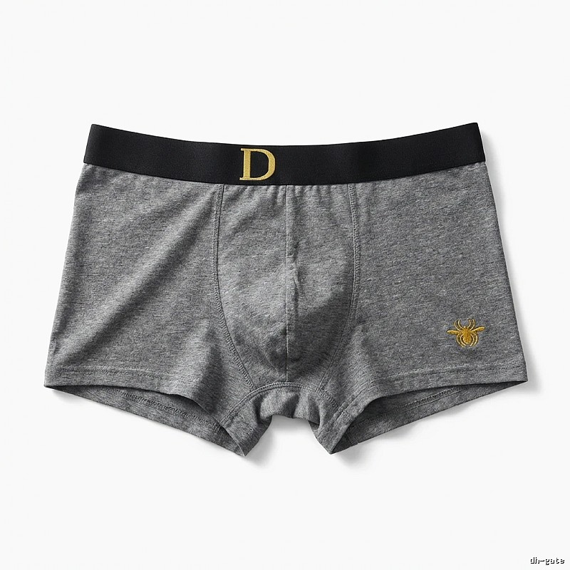 Dior minimalist style grey underwear